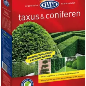 Buxus Formanyírt növény és Örökzöld 40 növény, 90 nap, 4 kg=1 m3 talaj