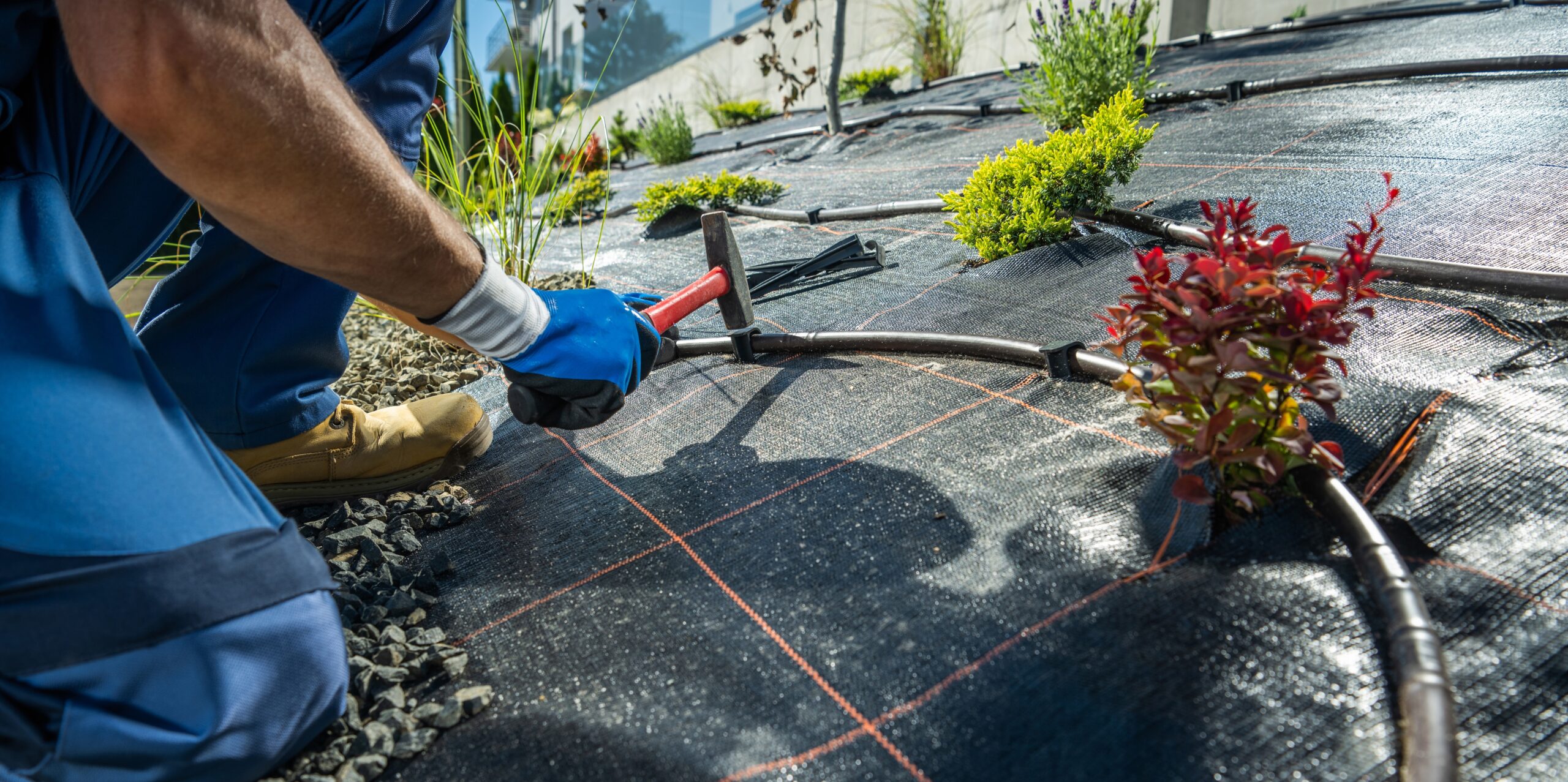 Garden,Watering,Technologies,Specialist,Installing,Plastic,Drip,Irrigation,Pipeline,Between